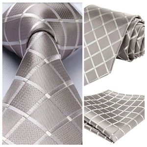 PLATINUM SILK TIE&SQUARE SETZ